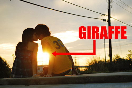 tumblr_lp9bru5fu81r00gg6o1_500.png