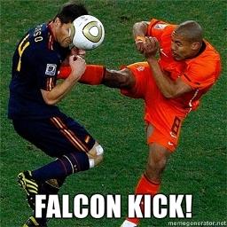 falcon-kick-4792_preview.jpg
