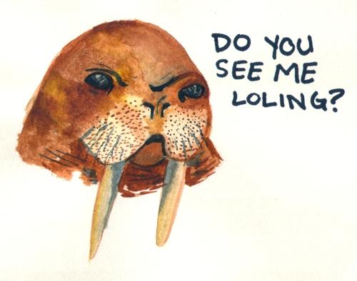 tumblr_lhci6p4zy71qf5iv7o1_r1_500.jpg