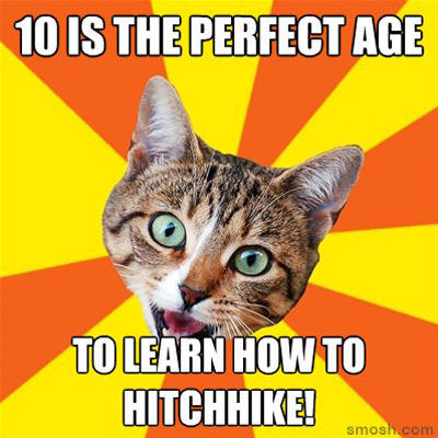 advice-cat-smosh-hitchhike.jpg