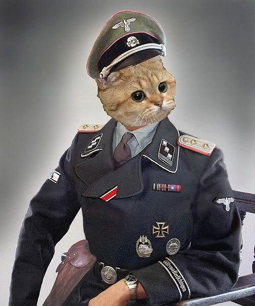 500px-SS-Panzer_hat.jpg
