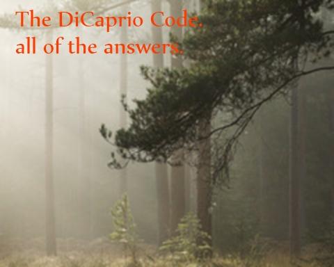TheDiCaprioCode.jpg