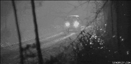 595.gif