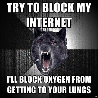 tumblr_lurvblMzwx1qzy8geo1_400.jpg