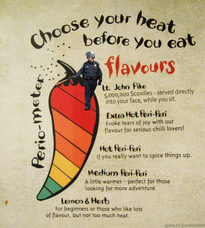 nandos_pike_macecop.jpg