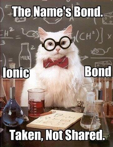 external image 6oWUo.jpg