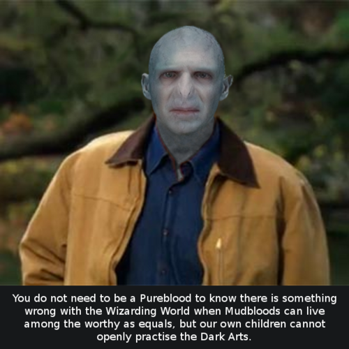 tumblr_lvyeokwZDT1r6x9udo1_500.png