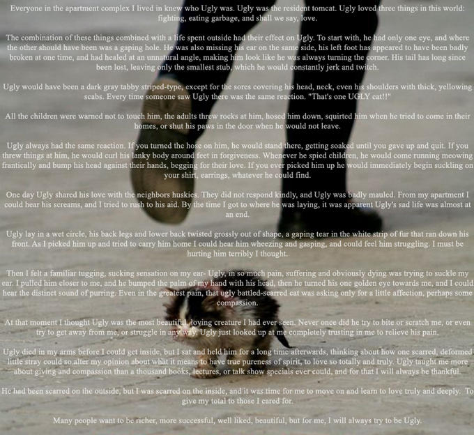 1323657386843.jpg