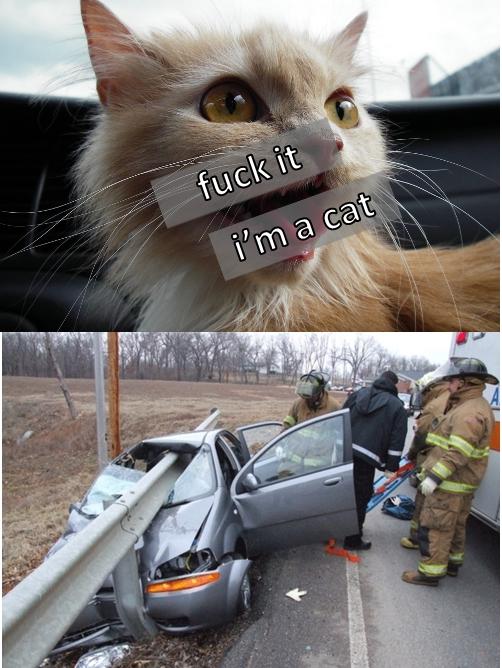 tumblr_lw4mqbtcMA1qfnfzuo3_1280.jpg