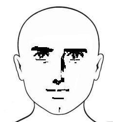 1324619671001.jpg