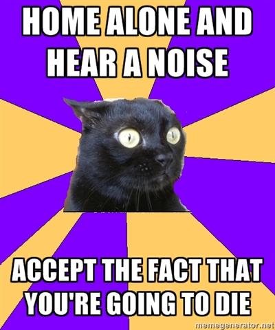 anxiety-cat-home-alone-and-hear-a-noise.jpg