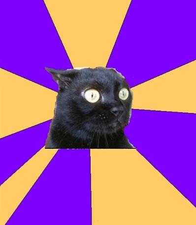 anxiety-cat.jpg