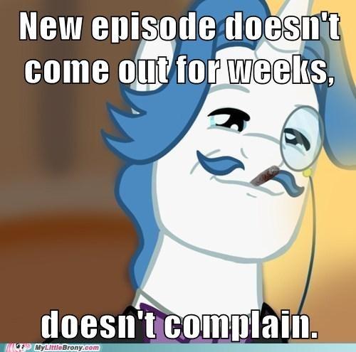 my-little-pony-friendship-is-magic-brony-untitled2.jpg