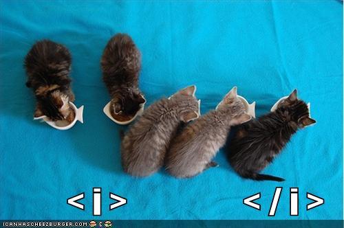 funny-pictures-kittens-code.jpg