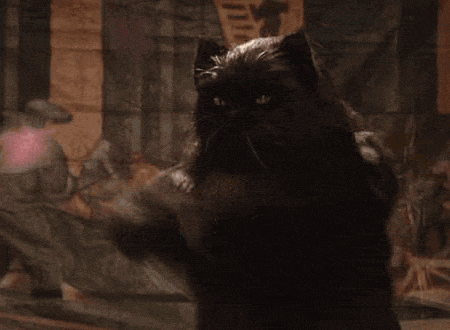 c97.gif
