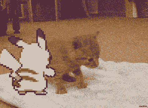 a35.gif