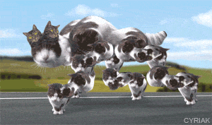 ddb.gif