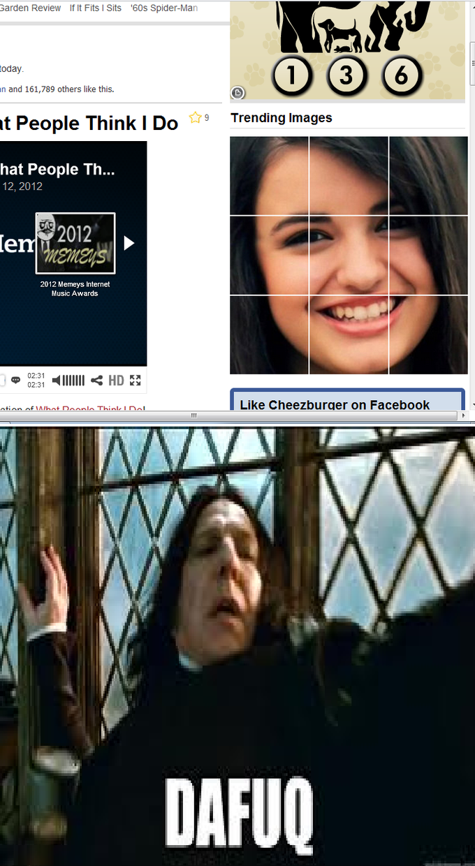 51d.png