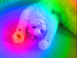 546.gif