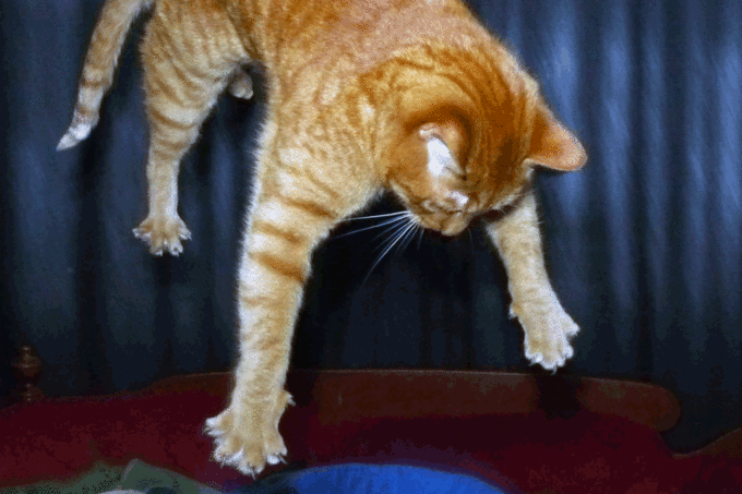ce9.gif