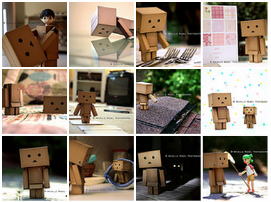 365 Days of Danboard