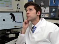 Socially Awkward Penguin