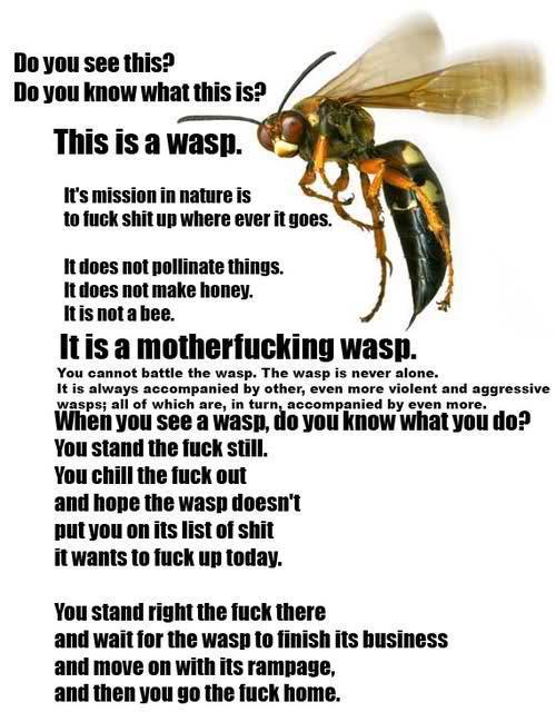 Bees seem suddenly cute right now...