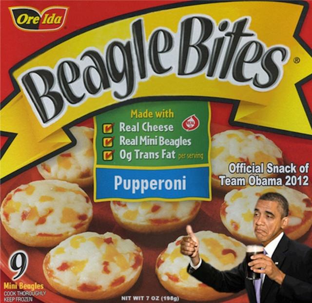 Beagle Bites