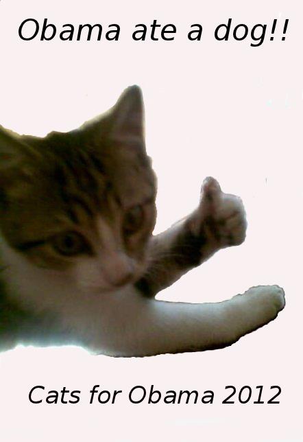 thumb_up_cat