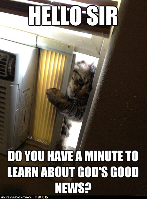 Jehova Cat