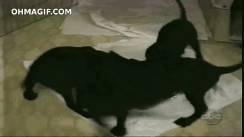 502.gif