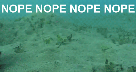 ef8.gif