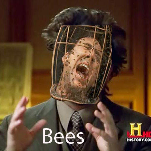 8be.jpg