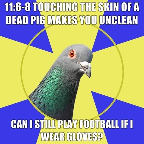 7d8.jpg