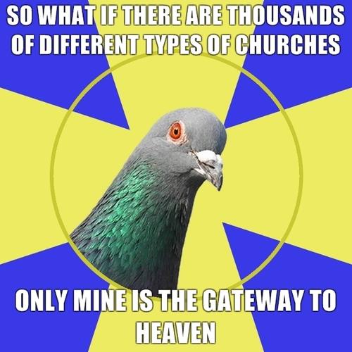 36c.jpg