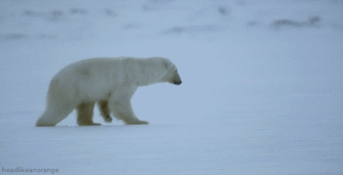 ~Breaking the ice