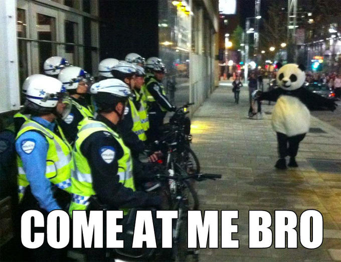 Come at Me Bro: Anarchopanda Edition