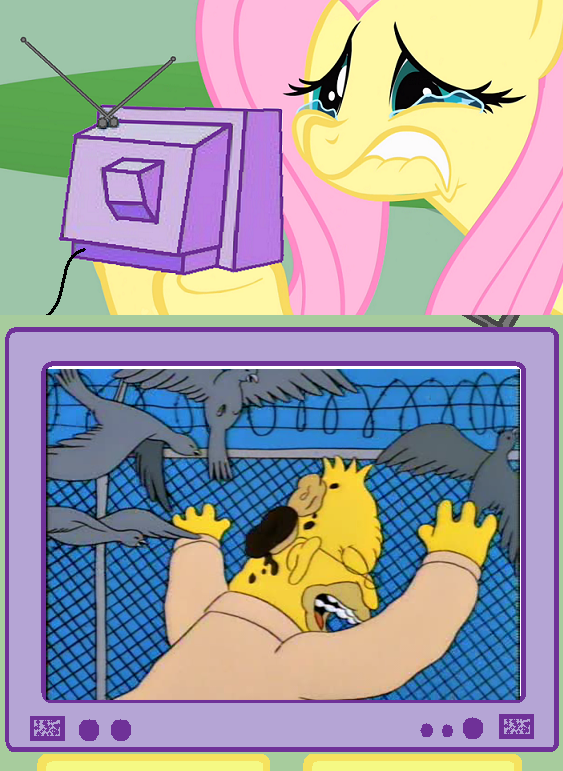 53f.png