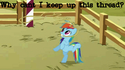 113.gif