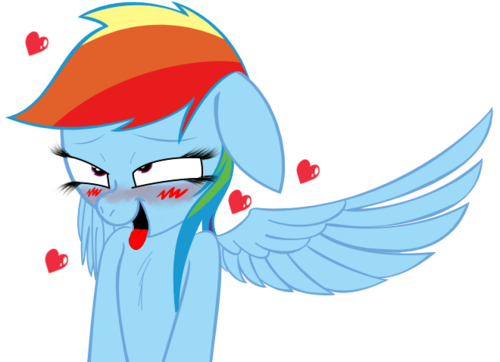 dashie sees a handsome