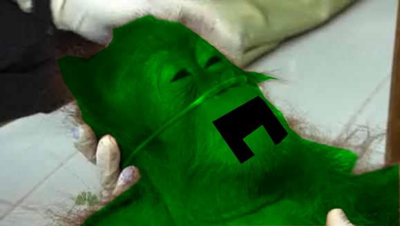 ssssssss... sssss...