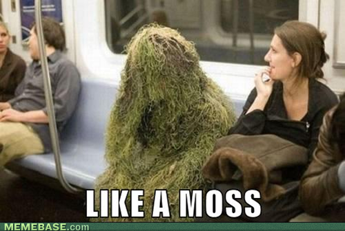 Like A Moss