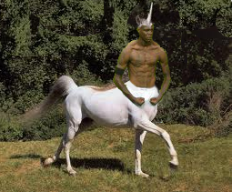 c08.png
