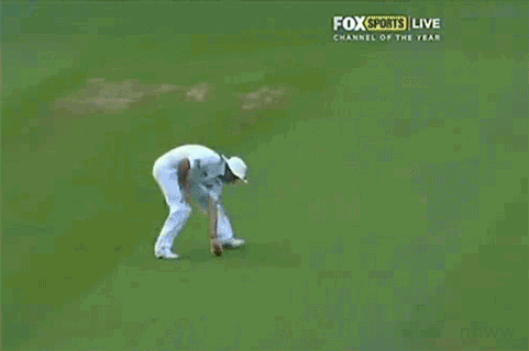 8a3.gif