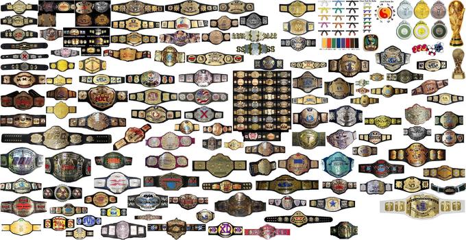 chuck norris belts