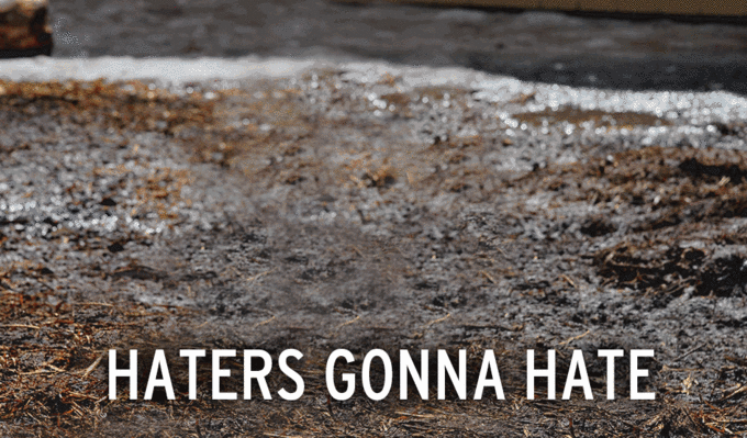 Haters Gonna Hate Chicken