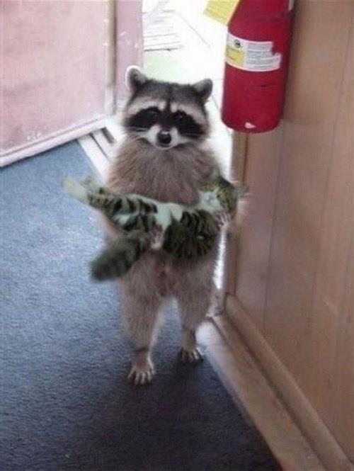 "Hi, is this yours?'