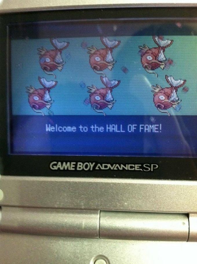 Chuck Noris’ Pokemon team (all below lvl 15).