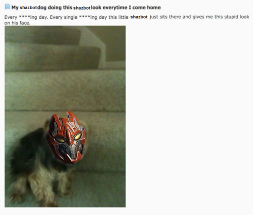 e2f.png