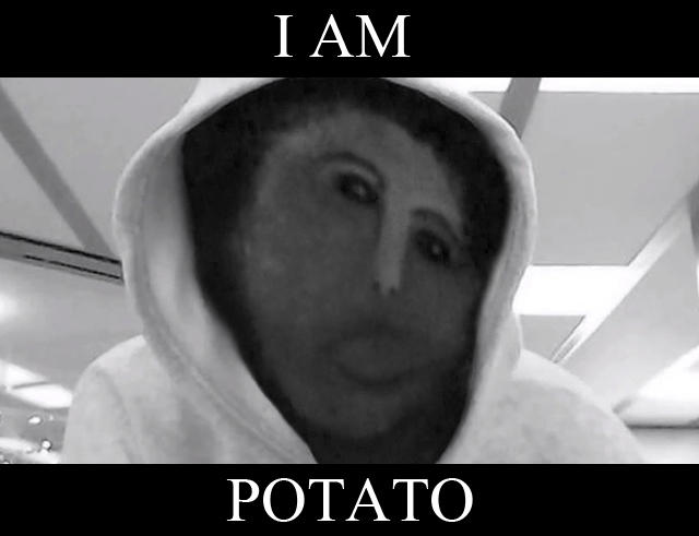 261.jpg